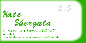 mate skergula business card